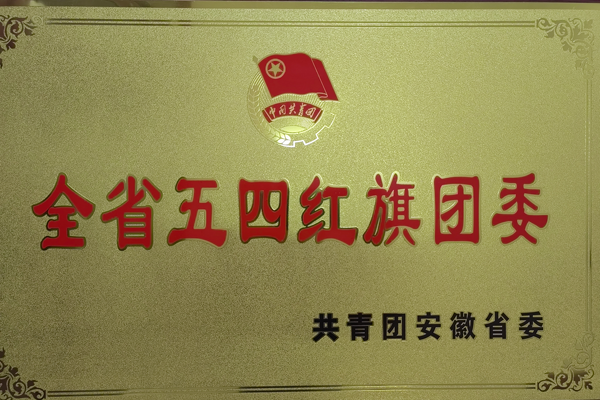 公司團(tuán)委獲得一項(xiàng)省級(jí)榮譽(yù) 公司團(tuán)委獲得一項(xiàng)省級(jí)榮譽(yù)