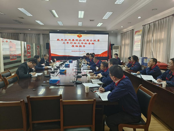 集團(tuán)公司到公司檢查“國企改革三年行動” 集團(tuán)公司到公司檢查“國企改革三年行動”